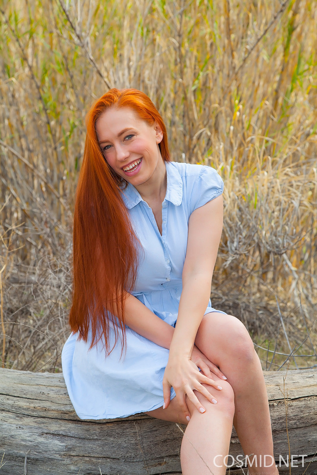 Titania Vibrant Redhead In Nature for Cosmid